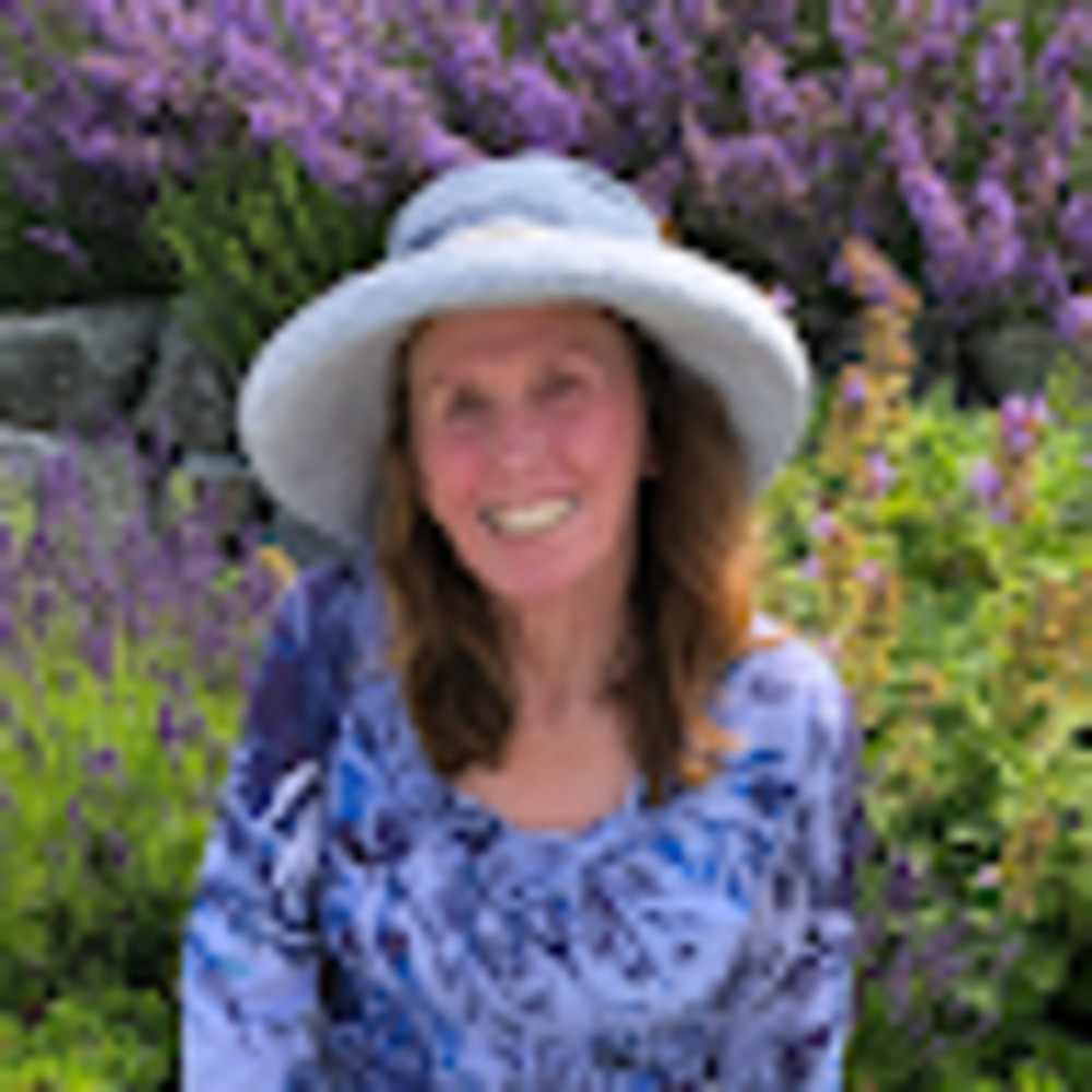 Meet your Posher, Lindsay